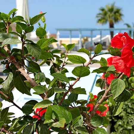 Hotel apartamentowy Aethrio Sunset Village - 4*