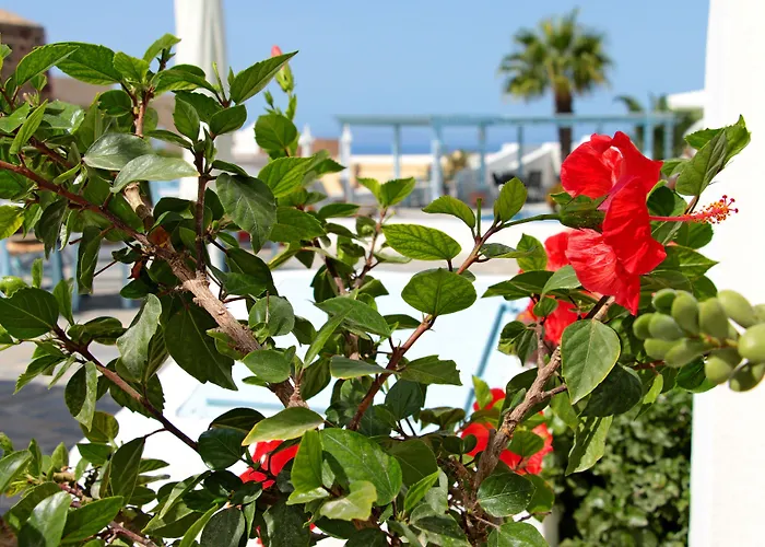 Aethrio Sunset Village - Appart hôtel